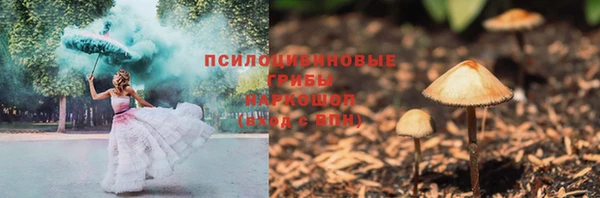 ГАЛЛЮЦИНОГЕННЫЕ ГРИБЫ Беломорск