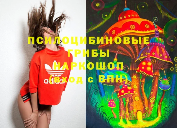 мяу мяу мука Белокуриха