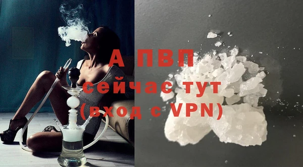 ГАЛЛЮЦИНОГЕННЫЕ ГРИБЫ Беломорск