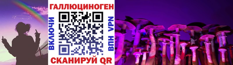 ОМГ ОМГ tor  Городец  Галлюциногенные грибы GOLDEN TEACHER 